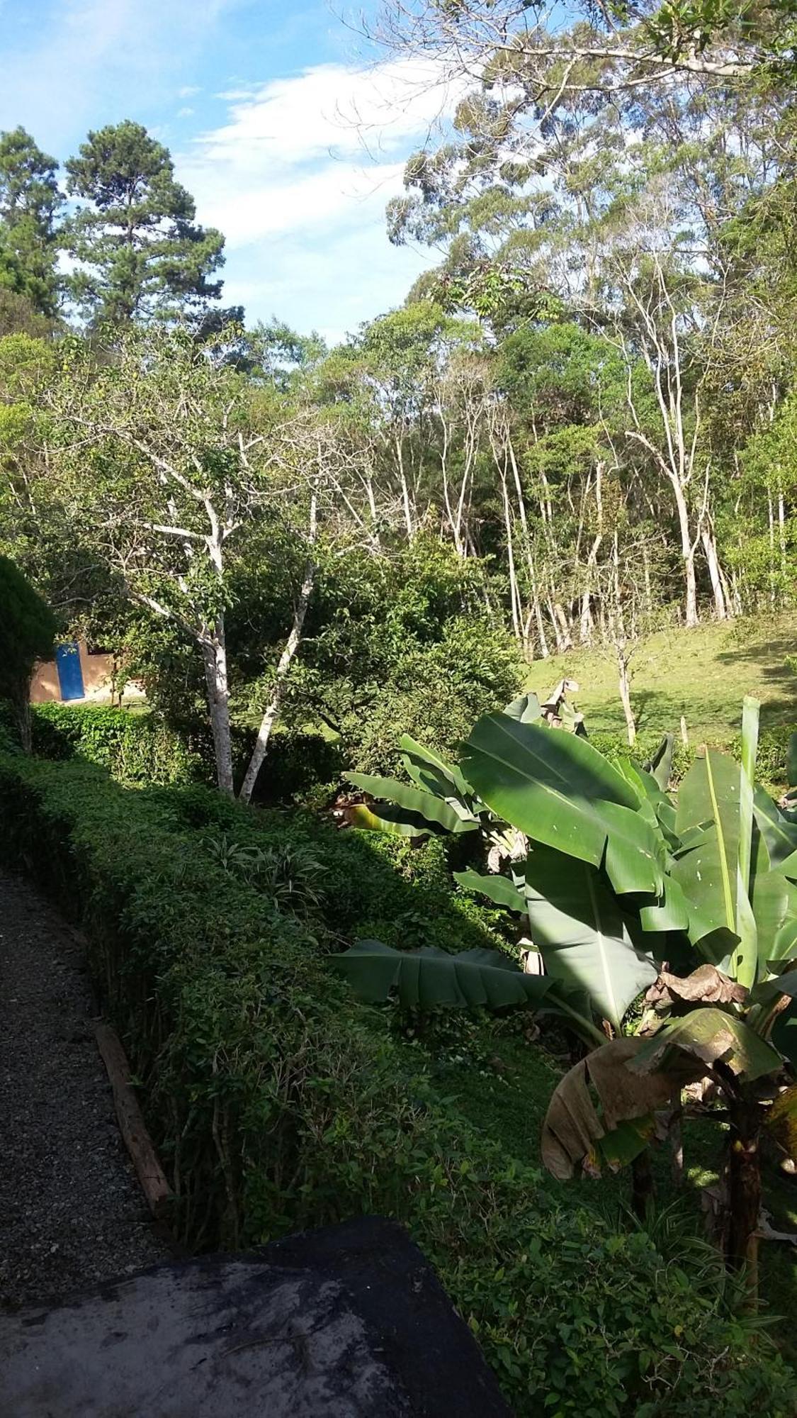 Kitnet Em Meio A Mata Atlantica Juquitiba Eksteriør billede